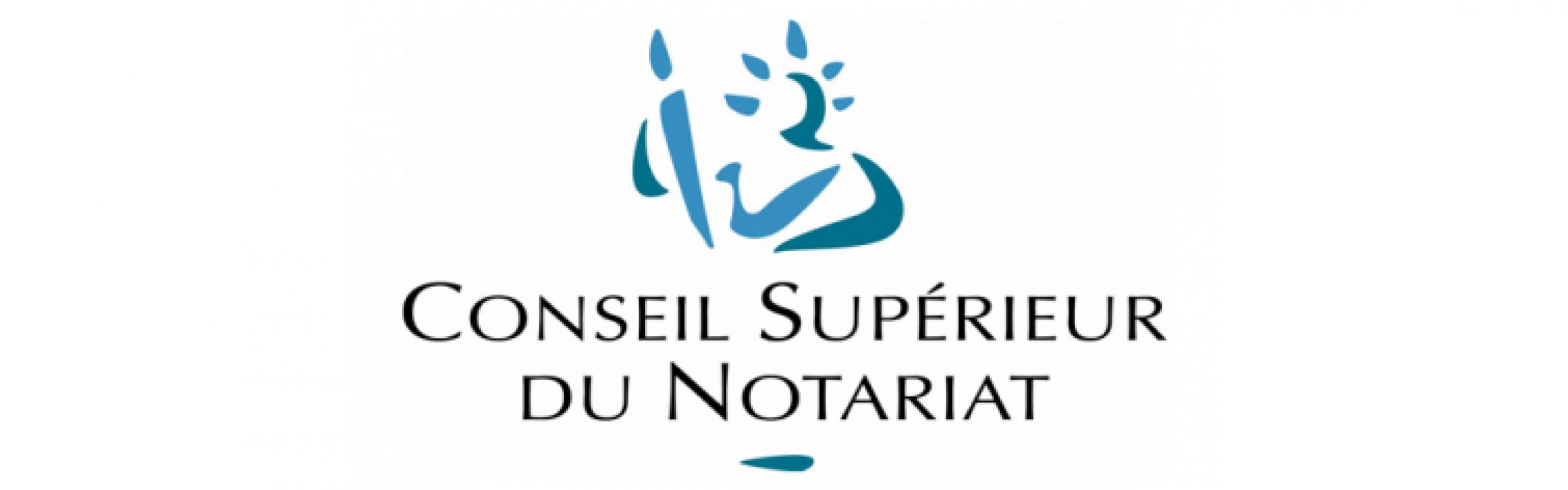Conseil supérieur du notariat (CSN)