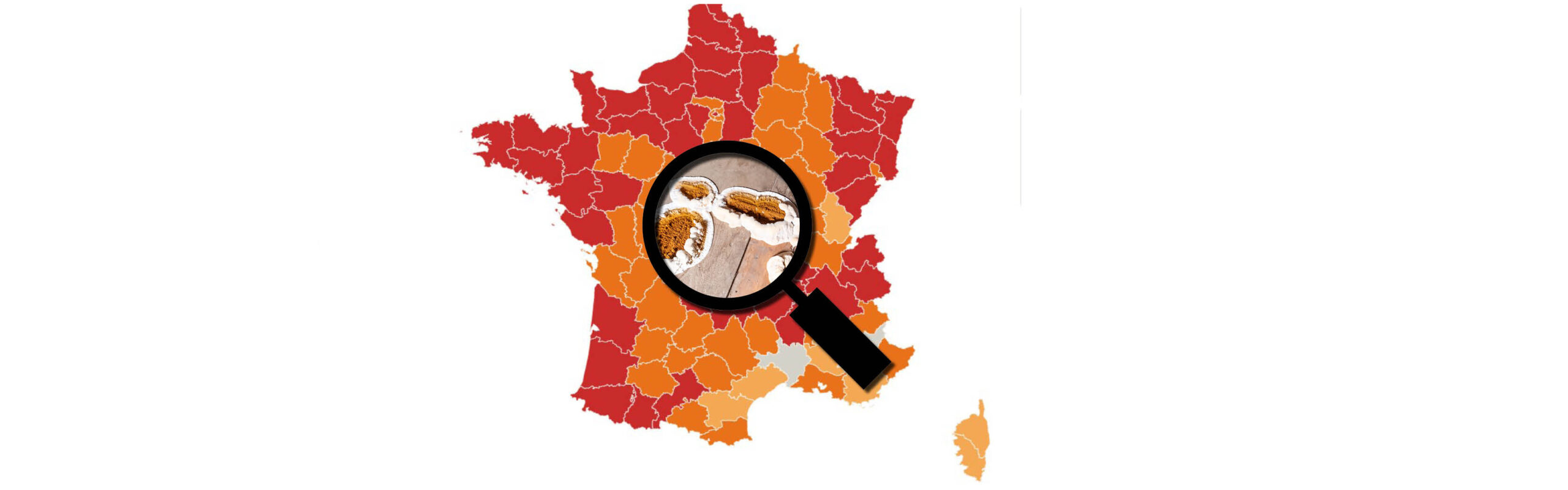 Carto Mérule
