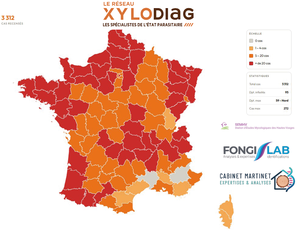 Xylodiag, Carte d'infestation des cas de Mérule par département, 2026