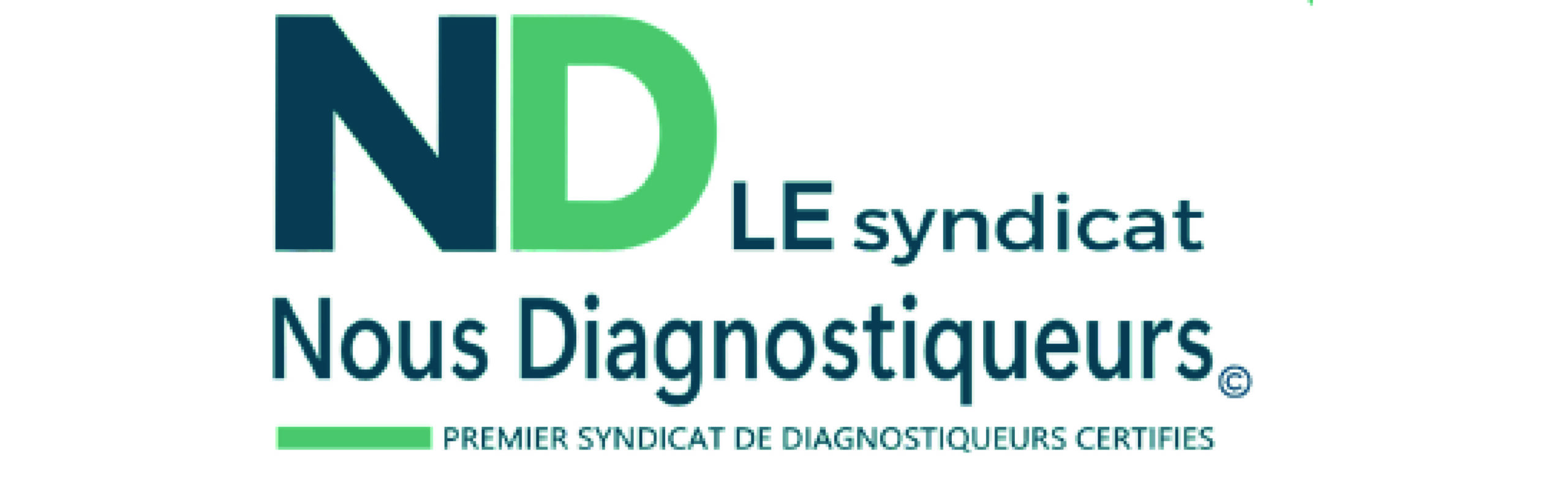 Nous Diagnostiqueurs